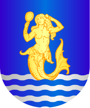 ESCUDO ALEATORIO
