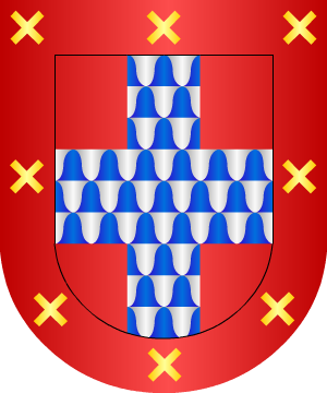 ESCUDO ALEATORIO