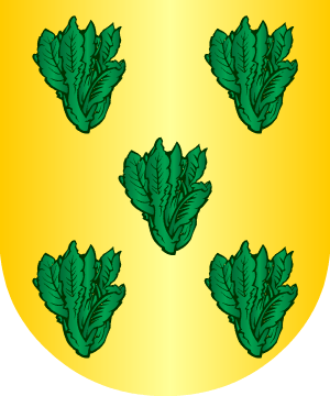 ESCUDO SIGUIENTE
