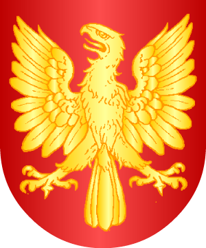 ESCUDO ALEATORIO