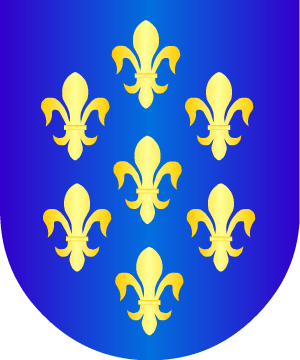 ESCUDO ALEATORIO