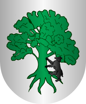 ESCUDO ALEATORIO