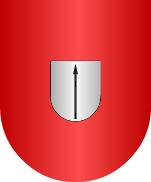 ESCUDO ALEATORIO