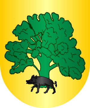 ESCUDO SIGUIENTE