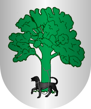 ESCUDO ALEATORIO
