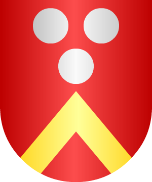 ESCUDO SIGUIENTE
