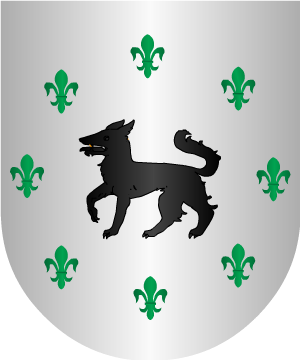 ESCUDO ALEATORIO