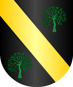 ESCUDO ALEATORIO