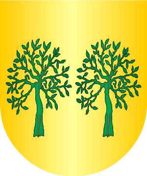 ESCUDO SIGUIENTE