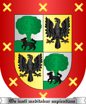 ESCUDO ALEATORIO