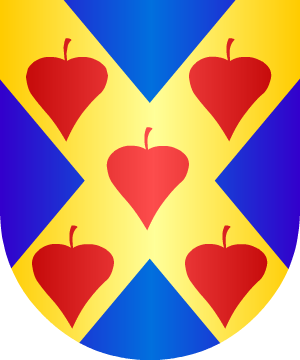 ESCUDO SIGUIENTE
