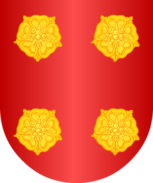 ESCUDO SIGUIENTE