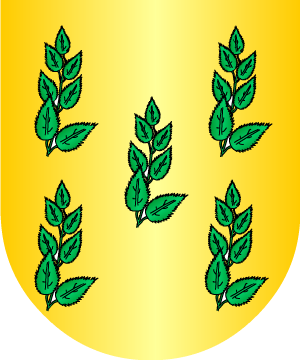 ESCUDO ALEATORIO