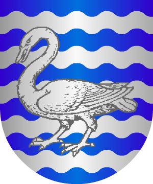 ESCUDO SIGUIENTE