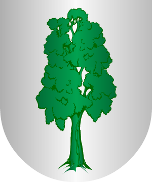 ESCUDO ALEATORIO