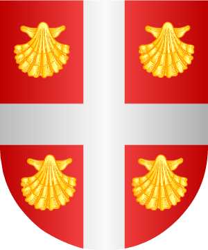 ESCUDO ALEATORIO