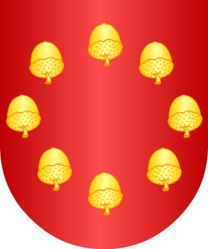 ESCUDO ALEATORIO