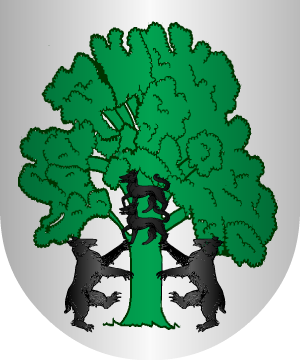 ESCUDO SIGUIENTE