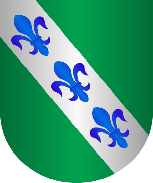 ESCUDO ALEATORIO
