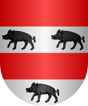 ESCUDO ALEATORIO