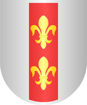 ESCUDO ALEATORIO