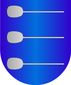 ESCUDO SIGUIENTE