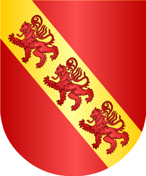 ESCUDO SIGUIENTE