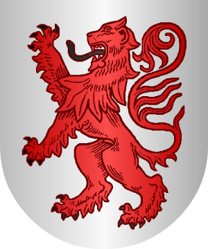 ESCUDO ALEATORIO