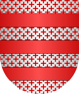 ESCUDO ALEATORIO