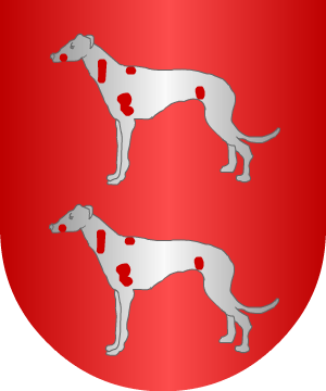 ESCUDO ALEATORIO
