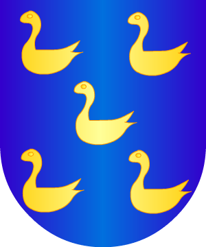 ESCUDO ALEATORIO