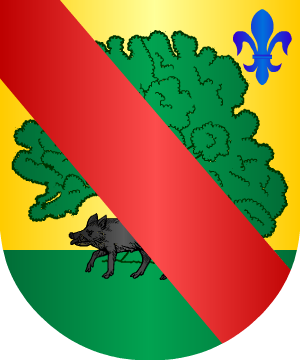 ESCUDO ALEATORIO
