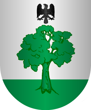 ESCUDO SIGUIENTE