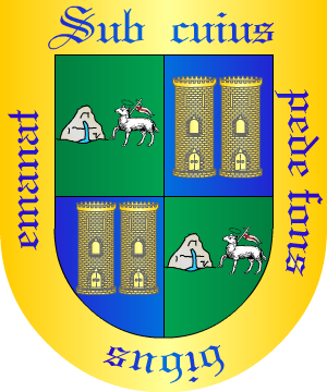 ESCUDO ALEATORIO