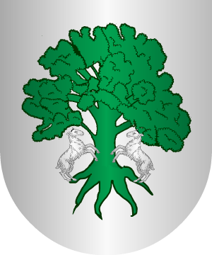 ESCUDO ALEATORIO