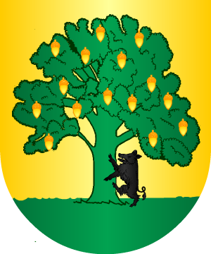 ESCUDO ALEATORIO