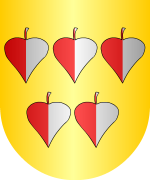 ESCUDO ALEATORIO