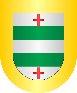 ESCUDO PRECEDENTE