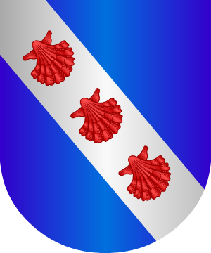 ESCUDO SIGUIENTE