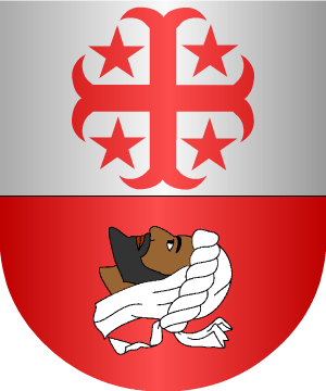 ESCUDO PRECEDENTE