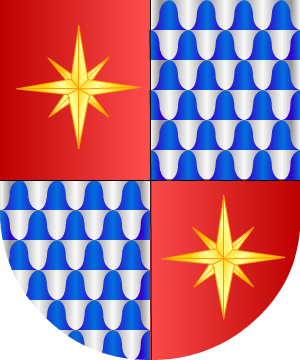 ESCUDO SIGUIENTE