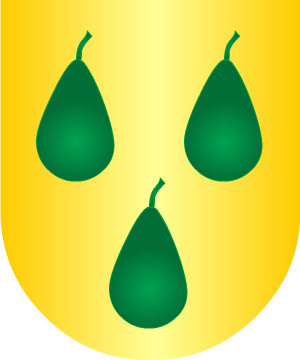 ESCUDO SIGUIENTE