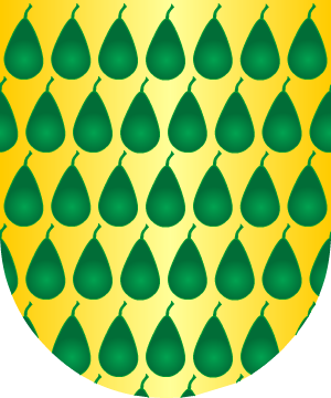 ESCUDO SIGUIENTE