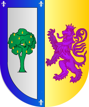 ESCUDO SIGUIENTE