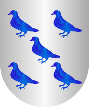 ESCUDO SIGUIENTE
