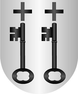 ESCUDO SIGUIENTE
