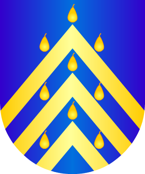 ESCUDO SIGUIENTE