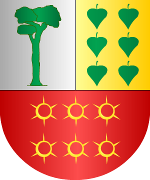 ESCUDO SIGUIENTE