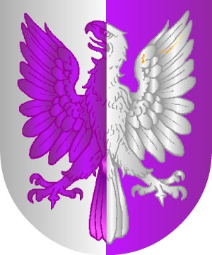 ESCUDO ALEATORIO