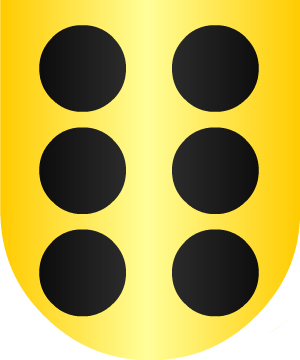 ESCUDO SIGUIENTE